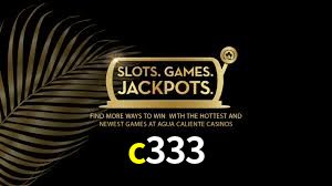 c333